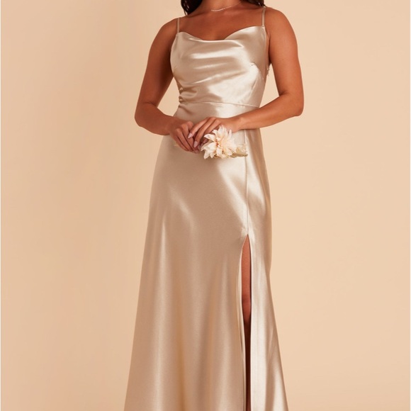 Birdy Grey Champagne Satin Gown - Picture 3 of 3